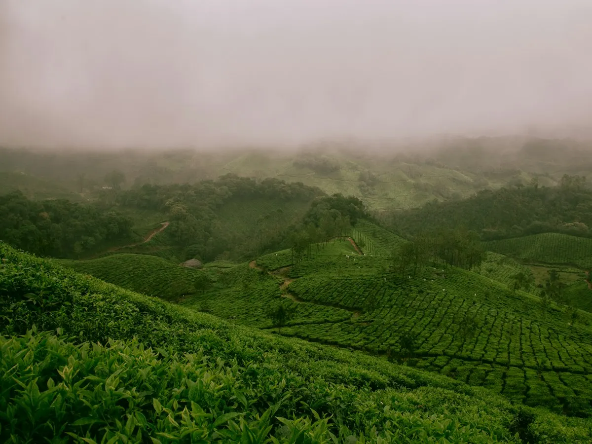 靜心茶館